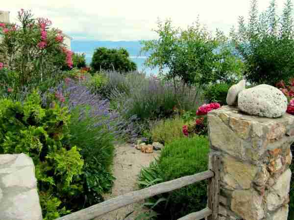 mediteranski vrt s lavandom